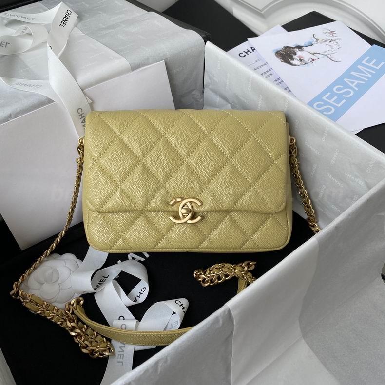 Chanel Handbags 919